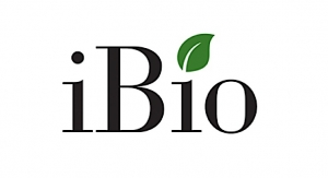 iBio Launches Sterile Fill-Finish Services