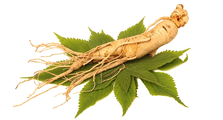 Image result for Ginkgo And Ginseng
