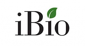 iBio Inks First Fill-Finish Services Agreement