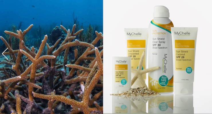 MyChelle Dermaceuticals Partners with the Coral Restoration Foundation