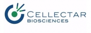  Cellectar Receives FTD for Diffuse Large B-Cell Lymphoma Treatment