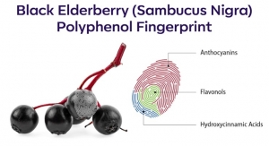 INS Farms Conducts Fingerprint Testing of North American Black Elderberry