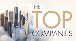 Catching Its Breath: Observations from the 2019 Top Companies Reports