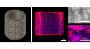 Prellis Biologics Advances 3D Holographic Tissue Printing 