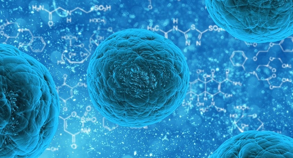 Self-Sterilizing Polymer Fights Drug-Resistant Pathogens