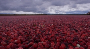 Cranberry Test Method Quantifies Insoluble PACs 