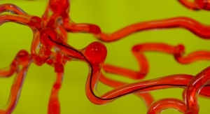Robotic Thread Slips Through the Brain’s Blood Vessels