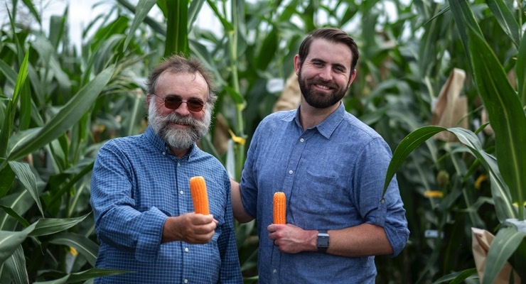 NutraMaize Attracts Funding to Further Develop Nutritious ‘Orange Corn’