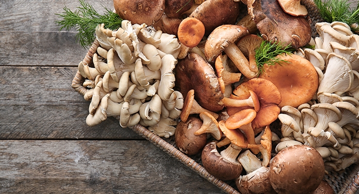 Regular Consumption of Mushrooms May Help Prevent Prostate Cancer