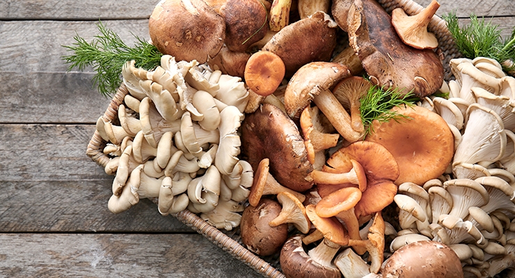 Mushrooms May Help Lower Prostate Cancer Risk