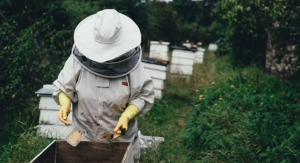 Guerlain Partners with UNESCO to Save Bees