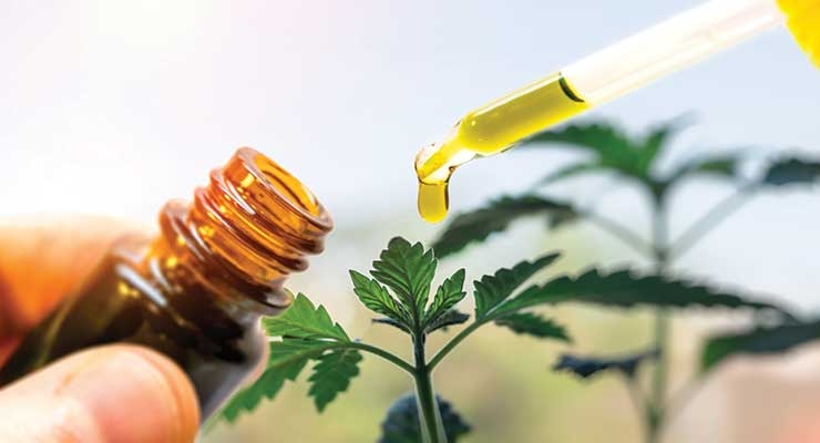 There’s High Interest in CBD for Beauty & Personal Care