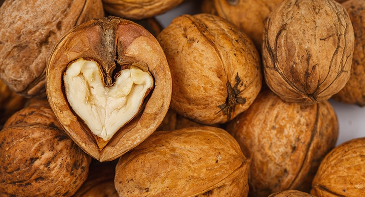 Walnuts Connected with Good Bacteria that Benefits Heart Health