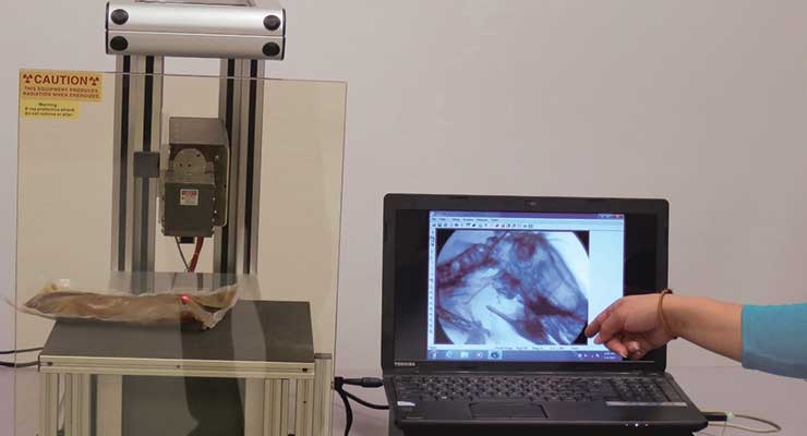 FDA Guidelines for Employing X-ray Inspection in Medical Device Development