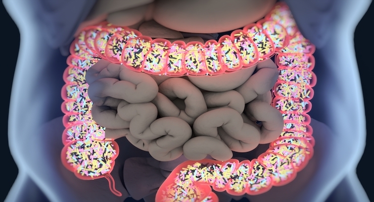 Researchers Call For Further Investigation Into Nutrition and Gut Microbiome