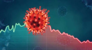Coronavirus SARS-CoV-2: Architecture of a Pandemic