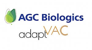 AGC Biologics, AdaptVac Partner to Develop COVID-19 Vaccine