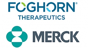 Merck Inks $425M Oncology Deal with Foghorn Therapeutics
