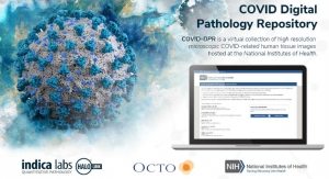 U.S. Businesses, Government Working on COVID-19 Digital Pathology Repository