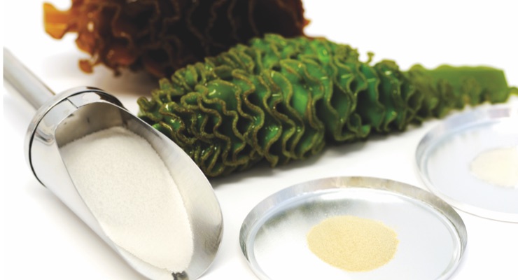 Seaweed Extract Shown to Support Immune Function of Elite Athletes 