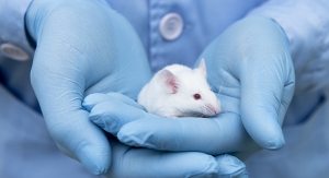 ECHA Upholds Animal Tests for Cosmetics