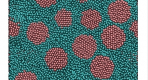 Nanomaterials: Short polymers, Big Impact