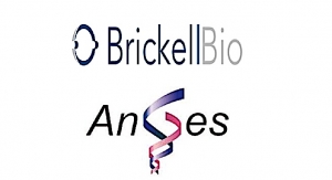 AnGes, Brickell Biotech Partner on DNA Vax for COVID-19