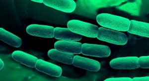 Kyowa Hakko Launches Immune Support Paraprobiotic Ingredient 