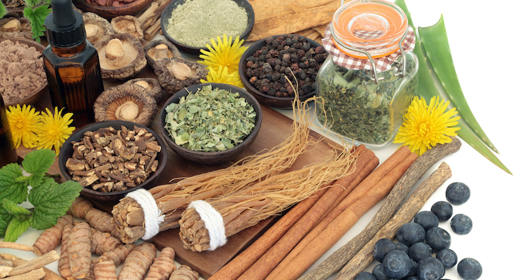 Medicinal Plant Research Experts Publish Review on History of Adaptogens 