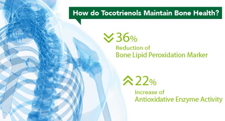 Stand Tall: For medical professional use. The Impact of Tocotrienols on Bone Health