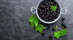 Blackcurrants Benefit Glucose Metabolism and Insulin Response, Study Finds 