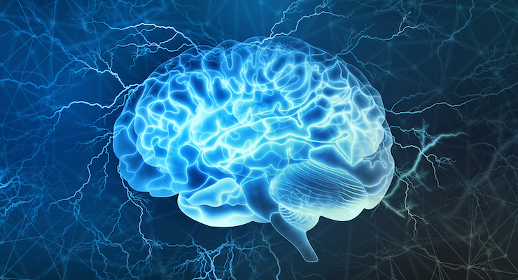 HP Ingredients Announces New Study on Brain Health Ingredient IQ200