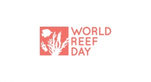 Raw Elements Hosts World Reef Day 2020