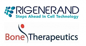 Bone Therapeutics, Rigenerand Ink Cell Therapy Deal