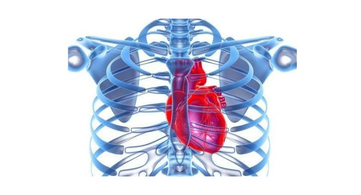 FDA Breakthrough Device Designation Given to MI Transcatheter Heart Pump