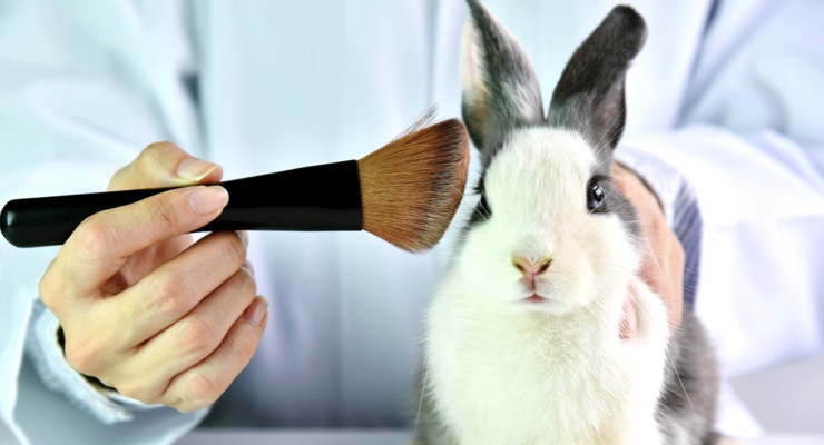 China To End Animal Testing for Imported 