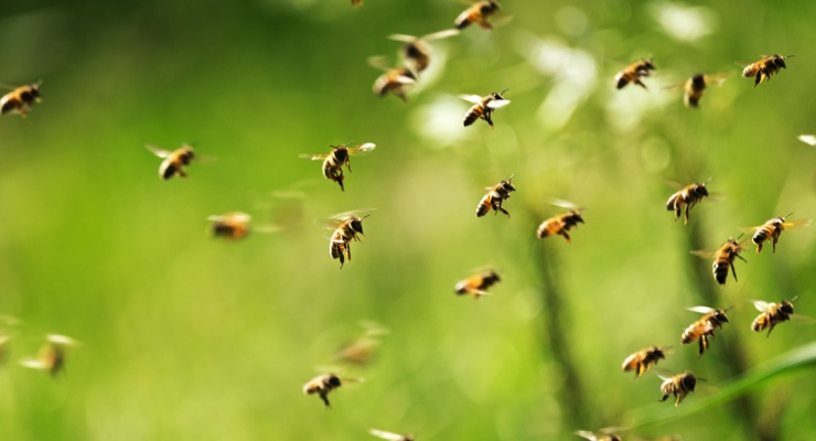 Guerlain Supports Women, Bees