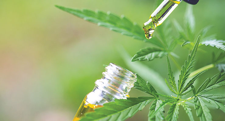 Is Cannabidiol Coming to Your City or Hamlet? 