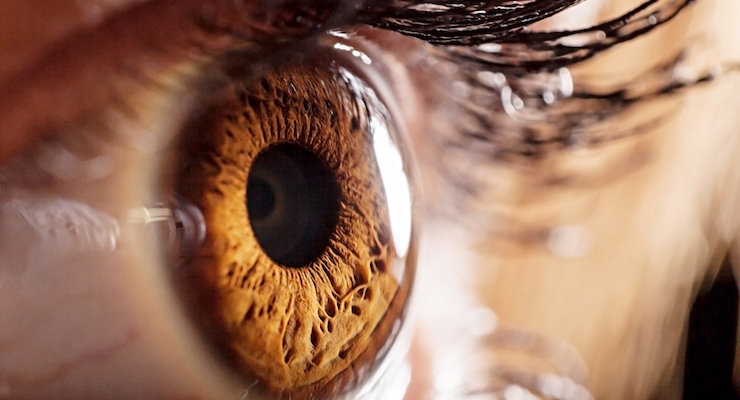 Kyowa Hakko Launches Heat-Treated Probiotic Strain for Eye Health 