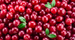 Fruit d’Or Launches Whole Fruit Cranberry Ingredients for Gummies 