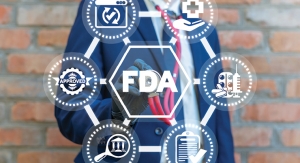 Meeting with the FDA: Valuing the Statistician and Preparation for Review