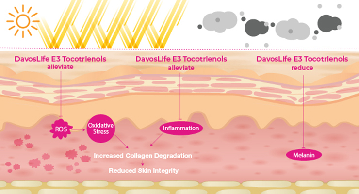 DavosLife E3 Tocotrienols targets the underlying root causes of skin ageing 