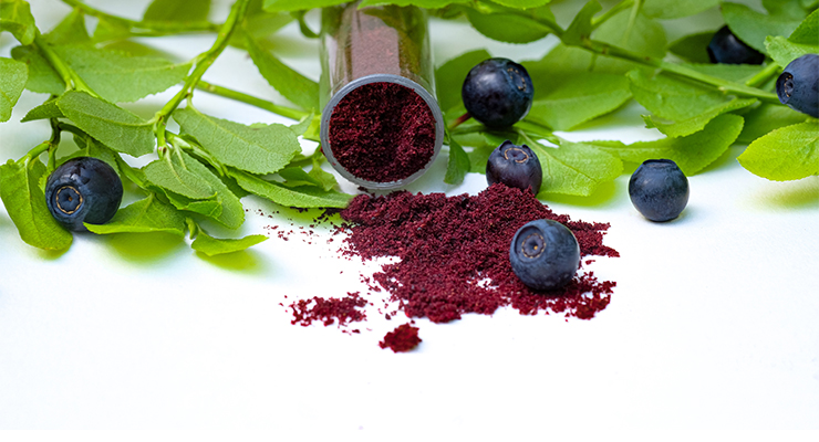 Bilberry Extract Shown to Improve Eye Function Associated with Device Use