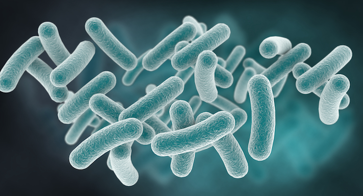 Probiotic Strain Linked to Improved ASD Symptoms in Young Children 