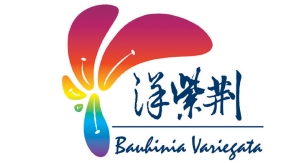 Yip’s Chemical Holdings Limited/Bauhinia Ink Company Limited