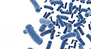 Antimicrobial Resistance ‘Arms Race’ Realizes Advancements as Post-Antibiotic Era Ensues