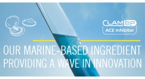 Our Marine-Based Ingredient Providing a Wave in Innovation 