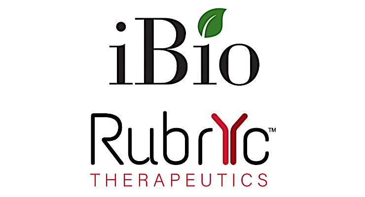 iBio Enters AI Partnership with RubrYc Therapeutics