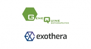 GeneQuine Contracts Exothera to Support the Development of Its Osteoarthritis Gene Therapy