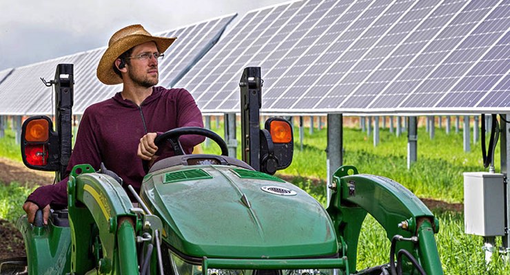The Future of Agriculture Combined With Renewable Energy Finds Success at Jack’s Solar Garden